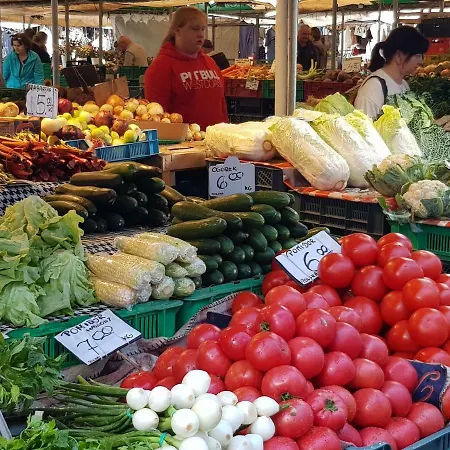 Movie Jezyce דירה *