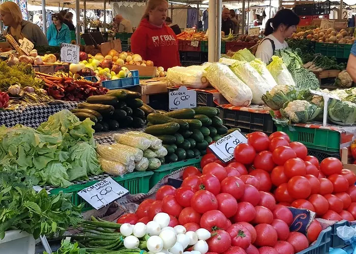 Movie Jezyce Appartement *